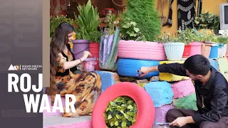Rojwaar - Xeleka 75 | ڕۆژوار - خەلەکا  ٧٥