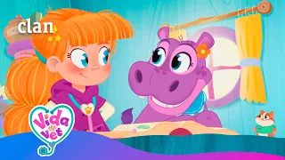 Vida, La Veterinaria : ¡COLECCIÓN DE 26 EPISODIOS! VOL 2 | Clan TVE