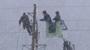 Regionalno, Maribor: Naslov za prijavo poškodb na omrežju