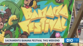 Sacramento goes bananas for the 15th annual Banana Festival