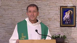 Homilie ze mše svaté 25.9.2026, P. František Bezděk SDB