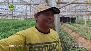 FLOWER FARMERS RELIEVED AS DEMAND FOR CUT FLOWERS SOARS