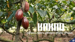 COCOA: A NEW BREATH FOR PAPUA'S GREEN ECONOMY [BUILDING PAPUA]