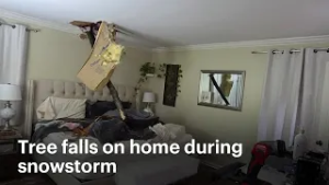 'Total shock.' Tree crashes into New Jersey bedroom during overnight blizzard | News 12