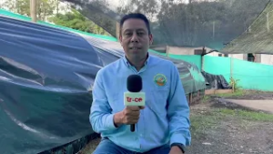 #EnlaceTrece |Emprendedor del Tolima llevó fertilizante orgánico a un mundial de innovación en China