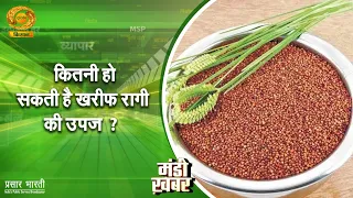 Mandi News | How much could the Kharif Ragi yield be? | DD Kisan | September 01, 2026