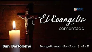August 24th Gospel Reflection 📖🕊️