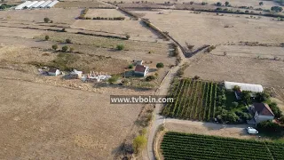 AKTUALE - Banorët e fshatit Dushiq kërkojnë rregullimin e rrugës