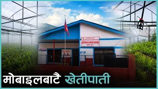 अब तरकारी खेती अटोमेसन प्रविधिमा | Kantipur Samachar
