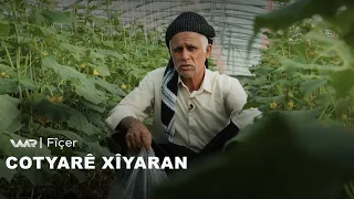 Fîçer - Cotyarê Xîyaran | فیچەر- جۆتیارێ خیاران