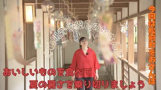 【媛さんぽ】今回は松前町をおさんぽします。