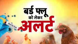 Bihar Bird Flu: बिहार में तेजी से फैला बर्ड फ्लू, पटना जू 7 मार्च तक बंद