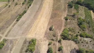 Požar u Donjem Trebešinju / RTV Vranje / 19.08.2026.