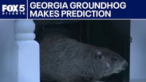 Gen. Beauregard 'Beau' Lee sees his shadow | FOX 5 News