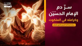سرّ دم الإمام الحسين عليه السلام وكرامته في الملكوت، سماحة اية الله الشيخ فاضل الصفار