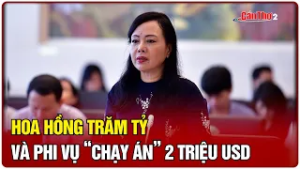 Hoa hồng trăm tỷ và phi vụ “chạy án” 2 triệu USD | Cần Thơ