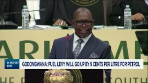 Министр финансов ЮАР Энох Годонгвана выступил с речью о бюджете на 2026 год (полный текст речи).