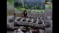 SCALE DOWN OPERATIONS