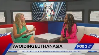 Dr. Kanika Cunningham talks euthanasia