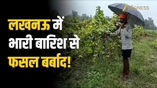 Lucknow Rain: बारिश और जलभराव से सब्जियों की फसल को नुकसान, किसान चिंतित!