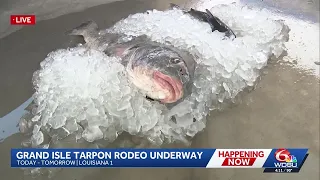 Grand Isle Tarpon Rodeo sees slower crowds after Tropical Storm Bertha