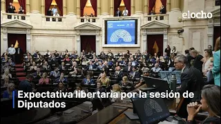 LIBERTARIAN EXPECTATIONS FOR THE CHAMBER OF DEPUTIES SESSION