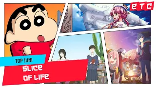 TOP JUNI: The BEST Slice of Life ANIME! ✨