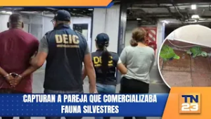 Capturan a pareja que comercializaba fauna silvestres