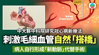 中大夥中科院研究冠心病新療法　刺激心臟毛細血管自然「搭橋」　病人自行形成「新動脈」代替手術｜香港新聞｜無綫新聞｜TVB News｜2026/08/25