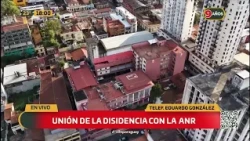 Eduardo González analyzes the internal situation of the ANR