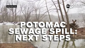 DC Water, Va. and Md. health officials provide next steps in sewage spill repairs