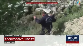 ADOLESCENT ÎNECAT