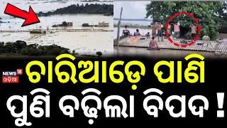 ଚାରିଆଡ଼େ ପାଣି ପୁଣି ବଢ଼ିଲା ବିପଦ ! Odisha Flood Crisis | Thousands Stranded Across North Odisha