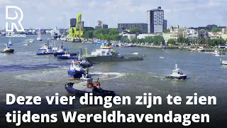 Wat te doen op de Wereldhavendagen in Rotterdam? | Rijnmond