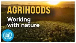 The Neighborhood Design That Could Save the Planet | United Nations