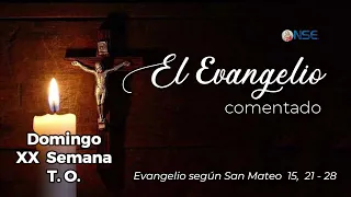Gospel 📖 commentary August 16🕊️