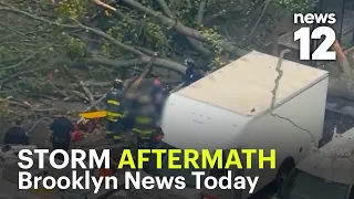 Brooklyn News Today: Deadly tree collapse, shootings and major crash highlight busy weekend