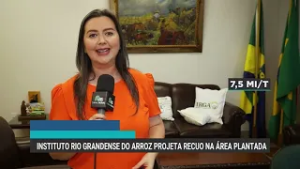Instituto Rio Grandense do Arroz projeta recuo na área plantada