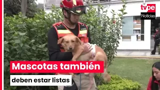 Pets