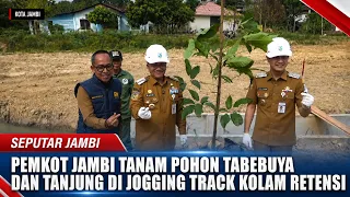 JAMBI CITY GOVERNMENT PLANTS TABEBUYA AND TANJUNG TREES ALONG THE RETENTION POND JOGGING TRACK