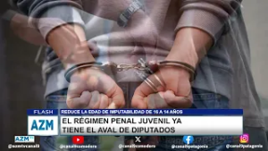 El régimen penal juvenil ya tiene el aval de Diputados