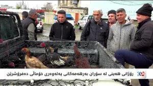 لە سنووری سۆران گوندنشینان پەلەوەری خۆماڵی بەخێودەکەن