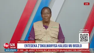 Ssinga obulwadde bwa kalusu webyongera mu bisolo, amata gakugaanibwa okutambuzibwa
