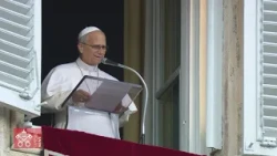 Il ringraziamento del Papa all'Angelus: " Ho sentito il vostro sostegno"