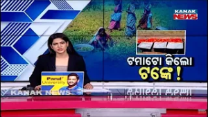 ଟମାଟୋ କିଲୋ ଟଙ୍କେ! Odisha Tomato Farmers’ Tragedy: Selling Tomatoes at Just ₹1 Per Kg