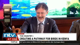 Government urged to create pathways for different species of birds