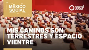 México Social - Mis caminos son terrestres y espacio vientre (04/03/2026)