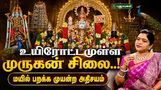 கட்டைவிரல் இன்றி செதுக்கப்பட்ட எட்டுக்குடி முருகன் விக்ரக ரகசியம்🦚- Dr. Deepa Arulalan #தெய்வதரிசனம்