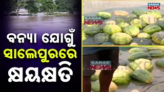 Salepur Flood News | Farmland Submerged, Farmers Fear Massive Crop Loss