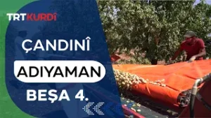 Çandinî - Beşa 4. (Adıyaman)